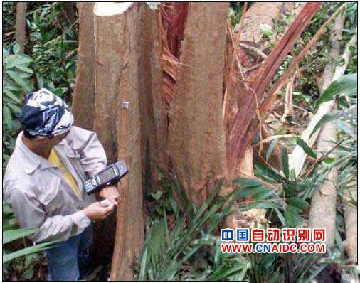 马来西亚用RFID追踪木材管森林