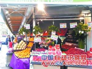 “国家教育云”湖北调查:云时代下的教育变革