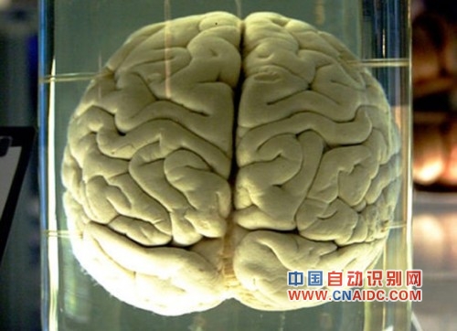 手机真正智能化 高通研发NPUs神经处理单元