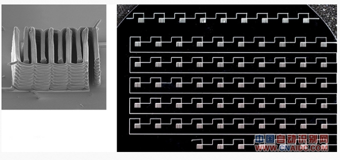 ΢µĵ