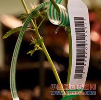 ݽóƵRFIDܴ