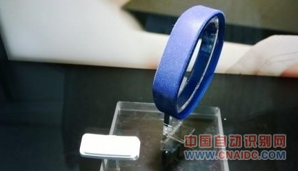 SmartBandֻ