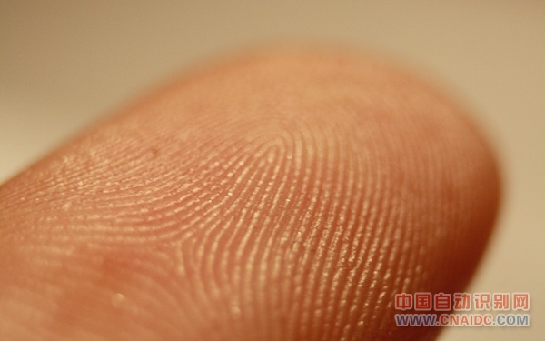 fingerprint