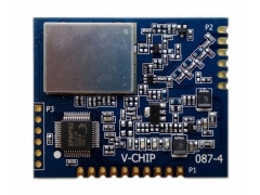 VT-DTMSD3-433M ͹ģ